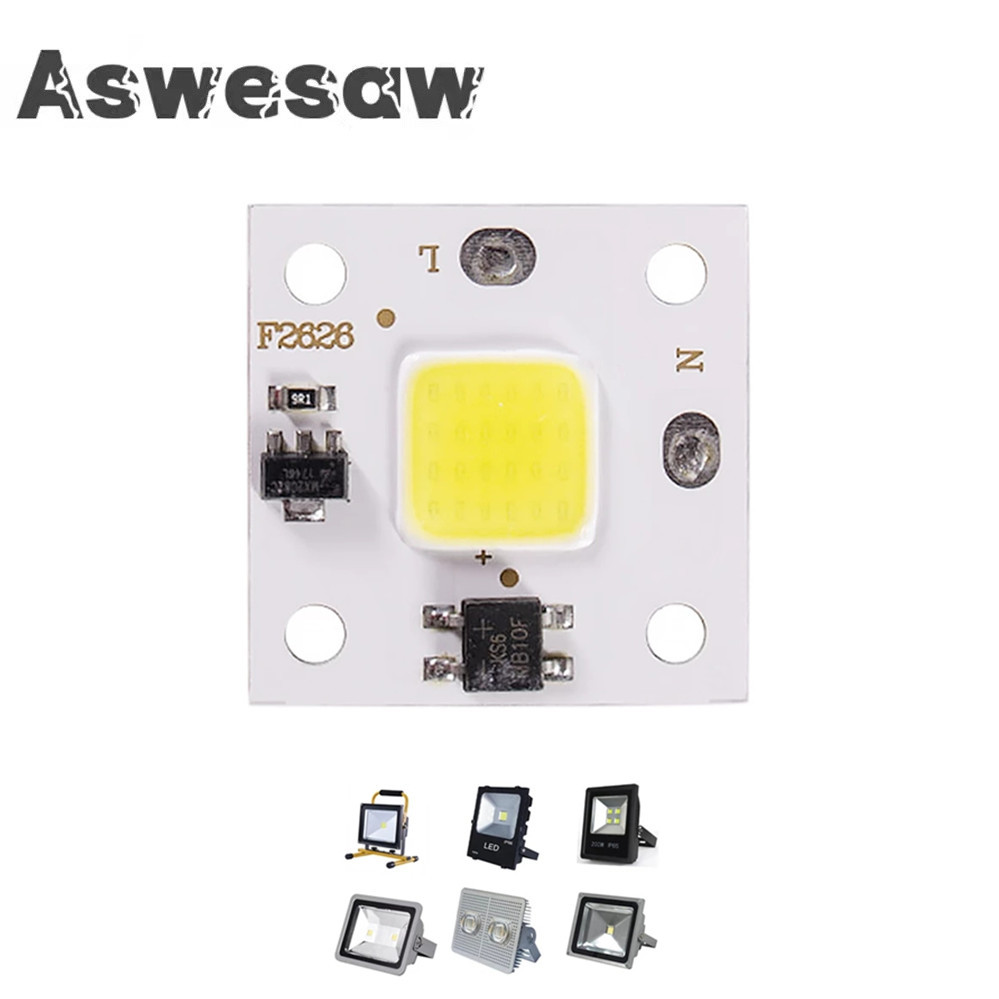 Outdoor Lighting Spotlight - 10W COB module 220V LED Chip