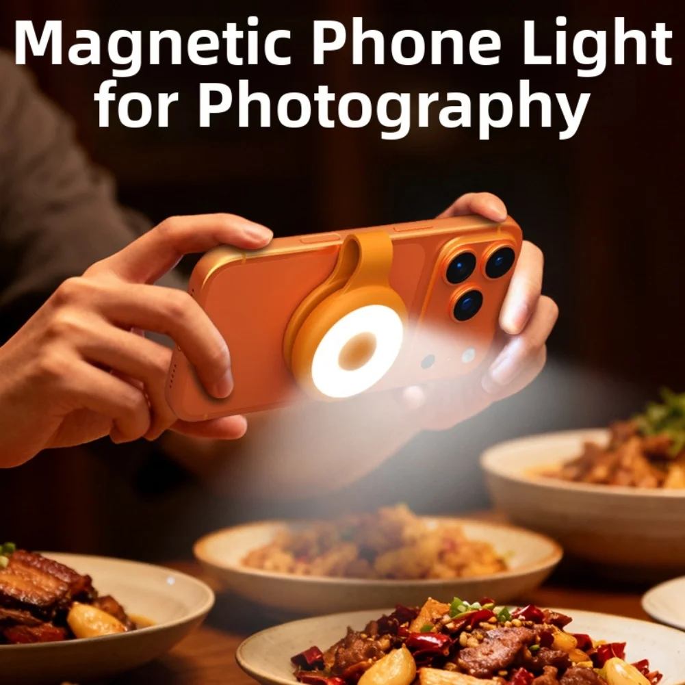 USB Rechargeable Phone Fill Li - Outdoor Lighting And Camera ulasan dan harga