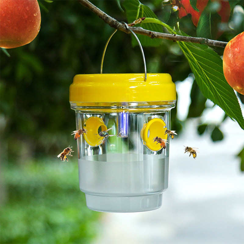 Solar Powered Fruit Fly Traps  - Outdoor Lighting For Gazebo ulasan dan harga