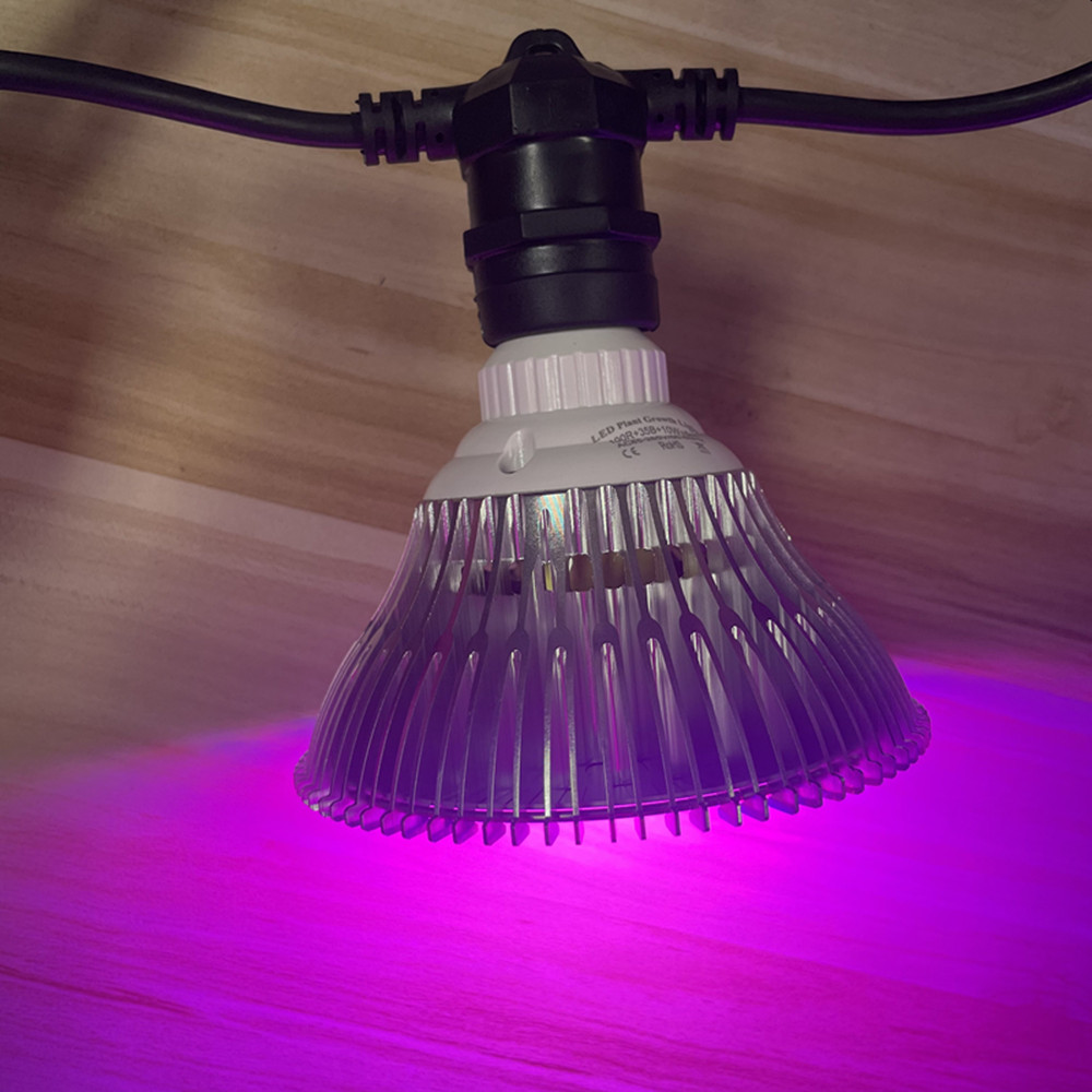 10M Cable LED String Commercia - Outdoor Lighting In Ground ulasan dan harga