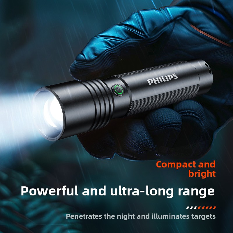 Home & Outdoor Philips SFL2146 - Outdoor Lighting Philips ulasan dan harga